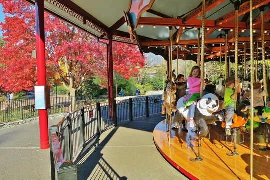 National Zoo - Washington, DC - Kid friendly activity reviews - Trekaroo