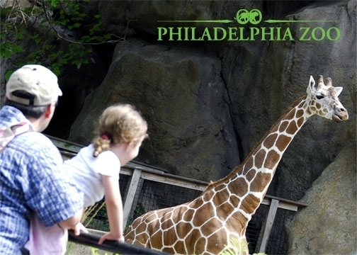 The Philadelphia Zoo - Philadelphia, PA - Kid friendly activity rev